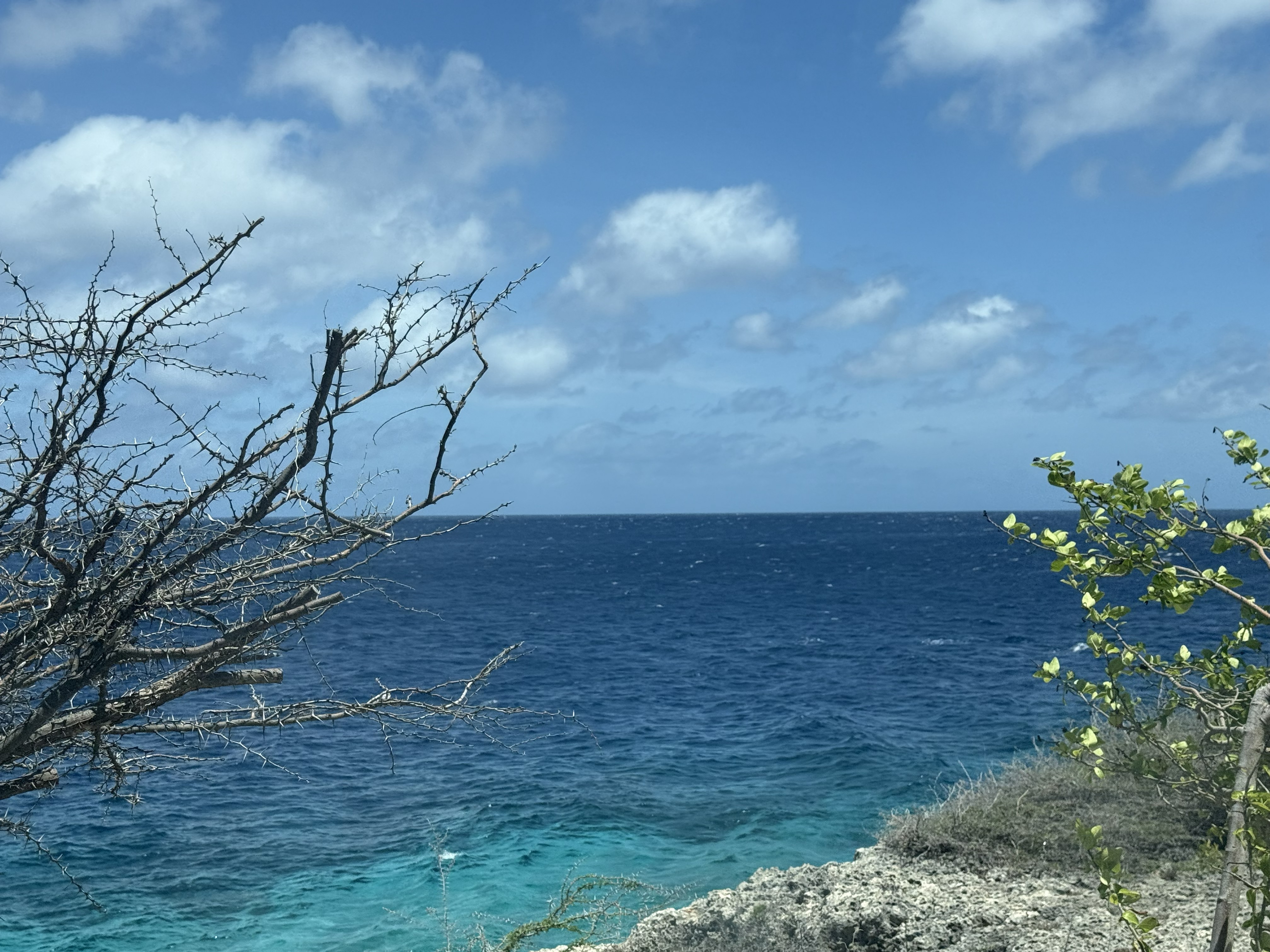 Bonaire 2