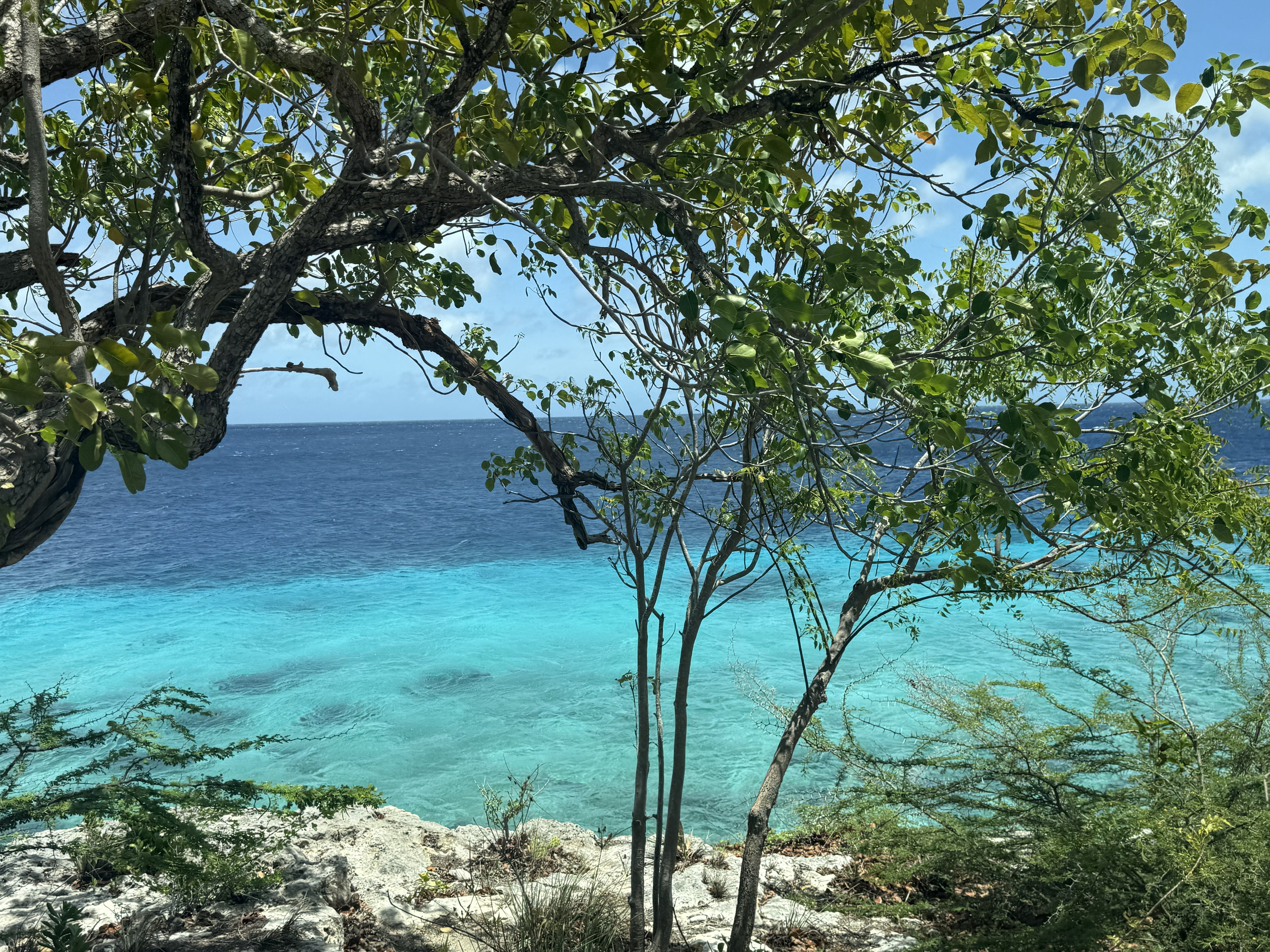 Bonaire 4