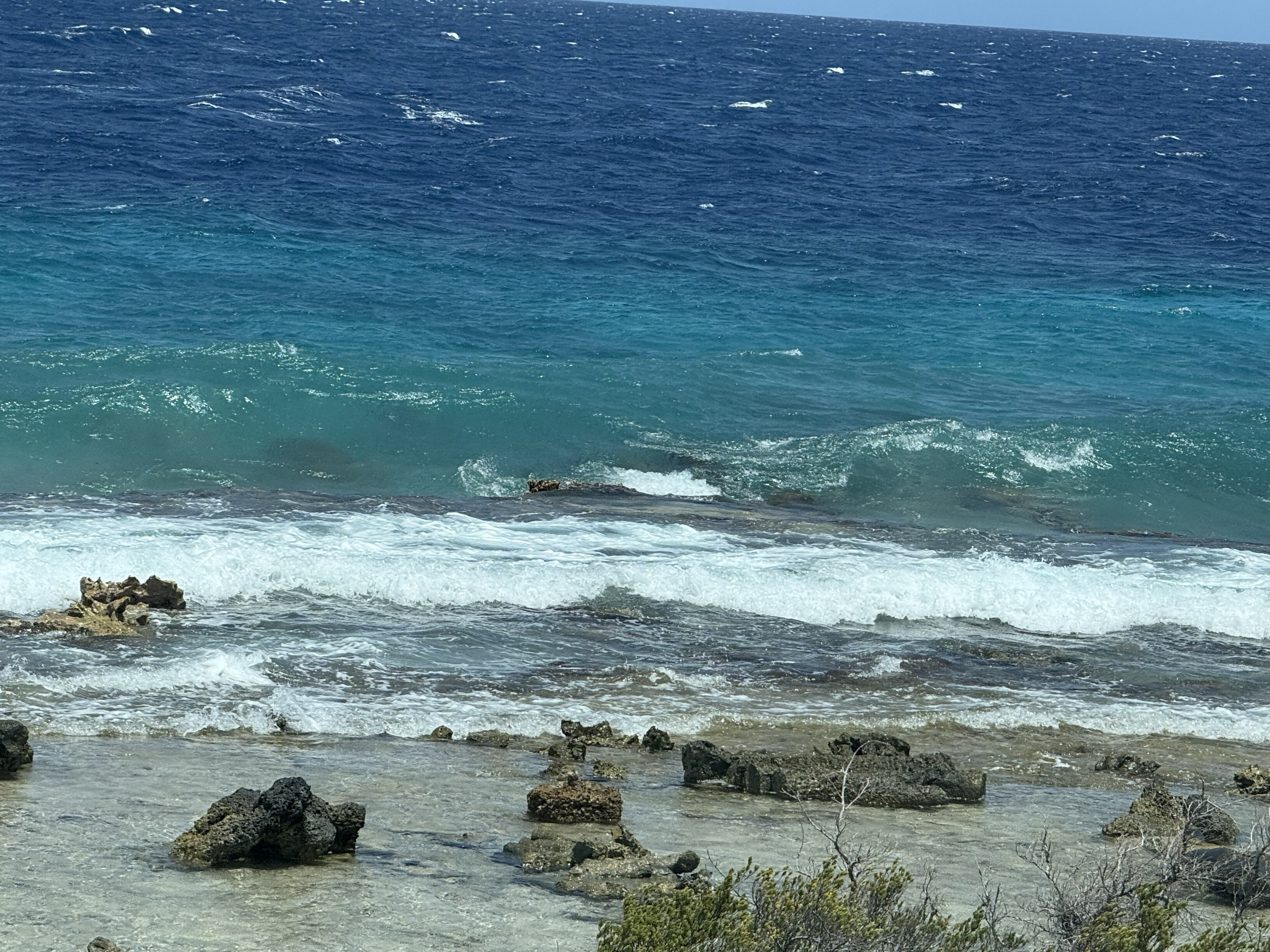 Bonaire 5