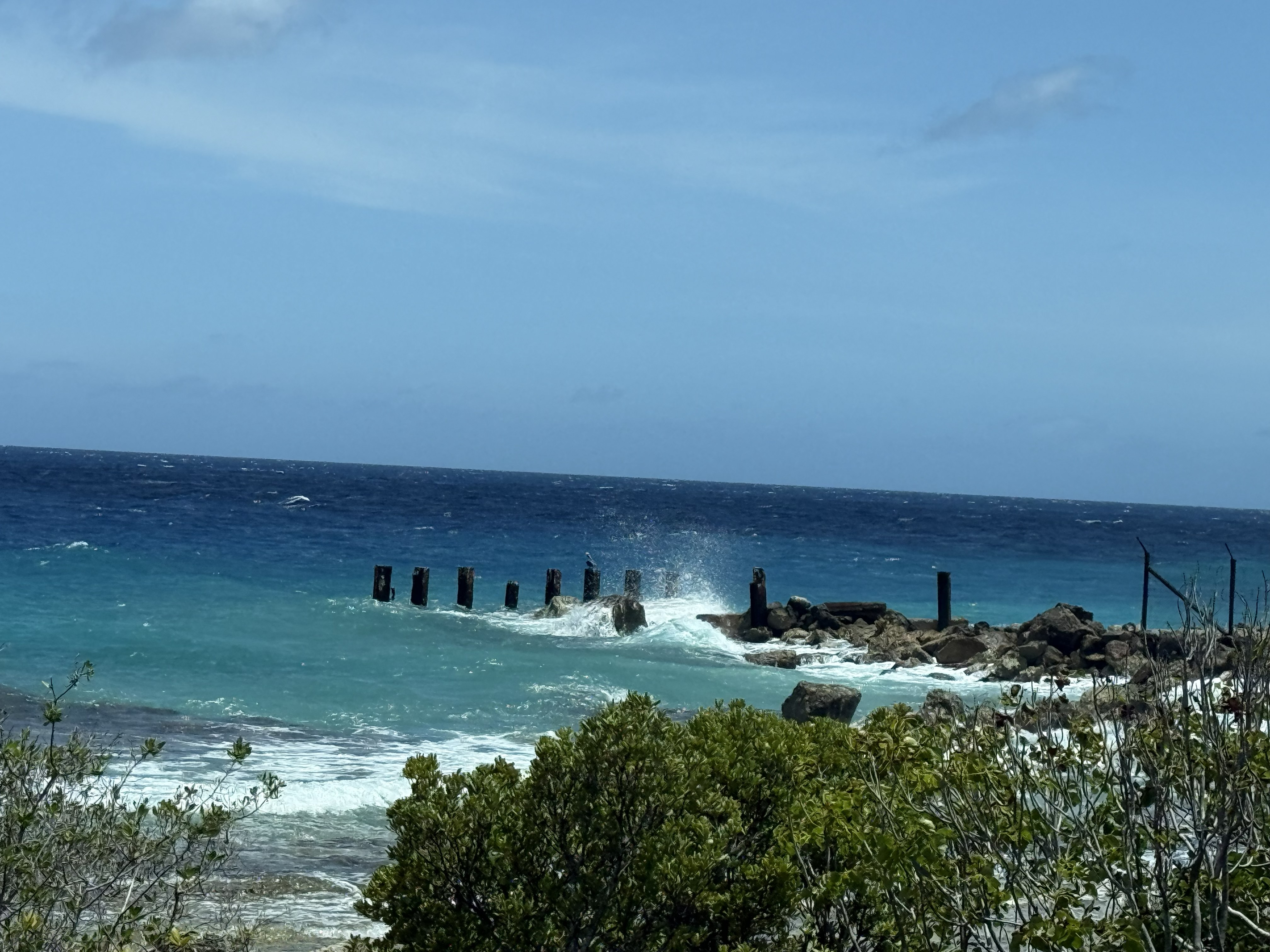 Bonaire 6