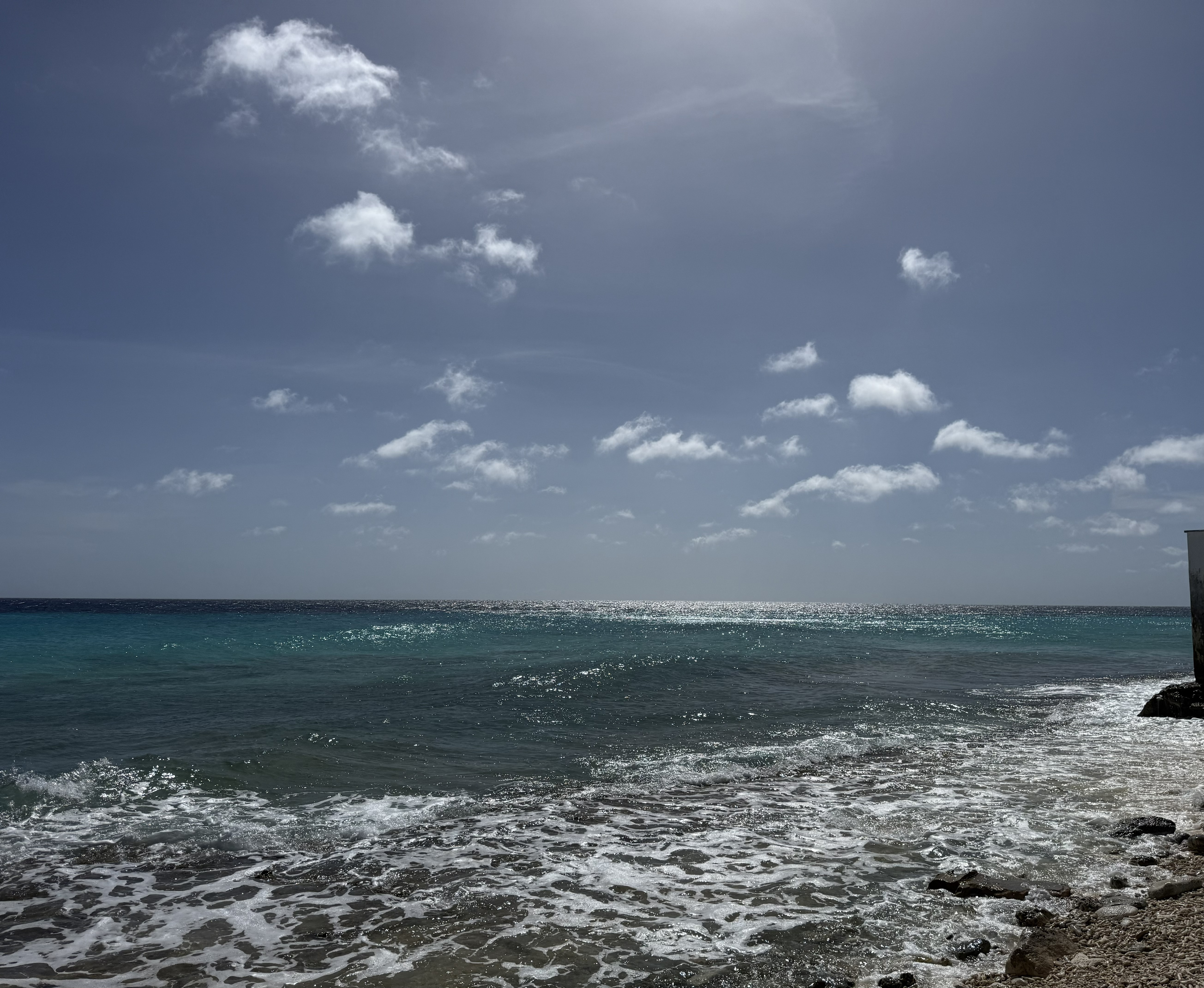 Bonaire 8