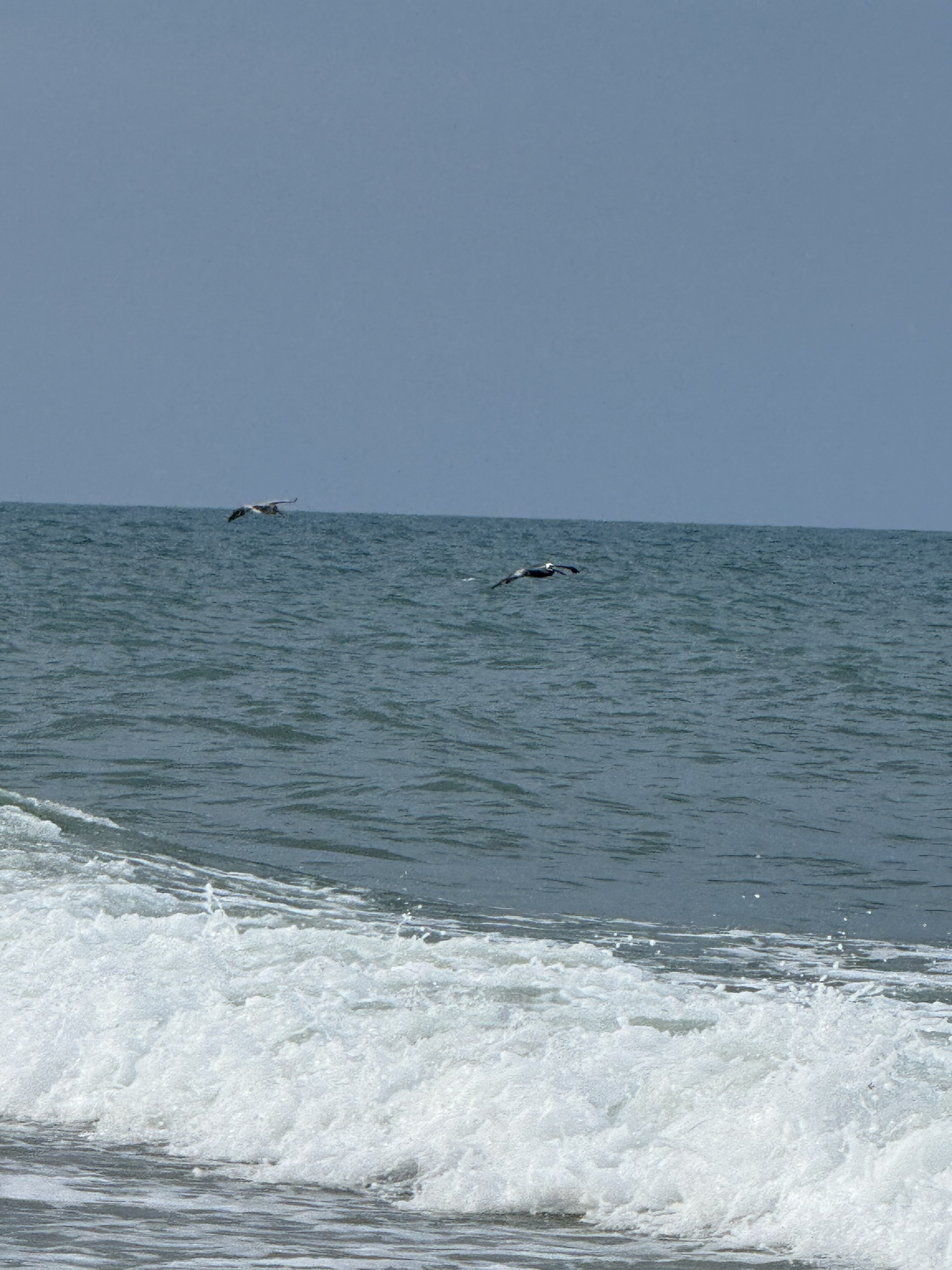 Daytona Beach, Florida 3