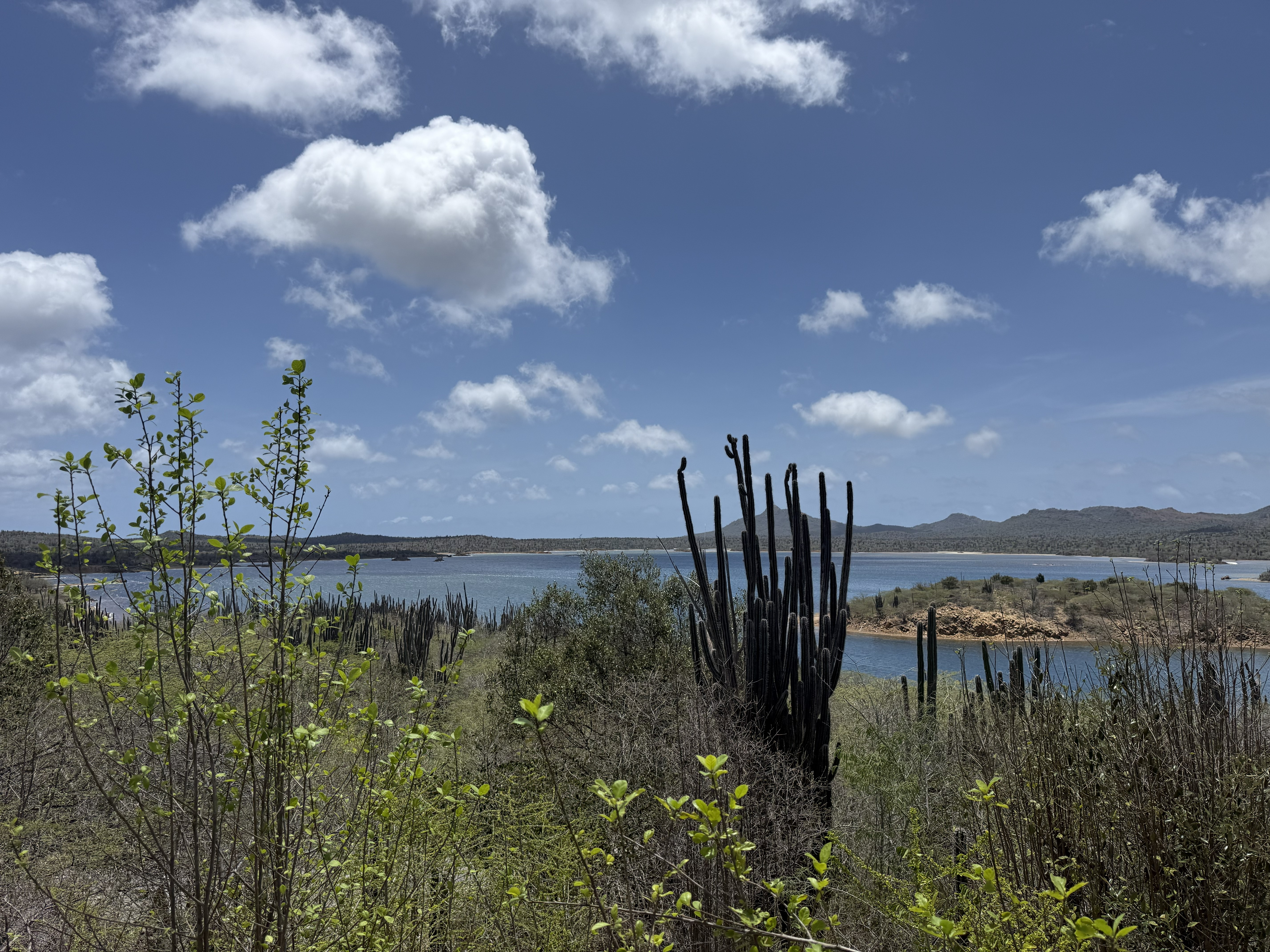 Goto Lake Bonaire 2