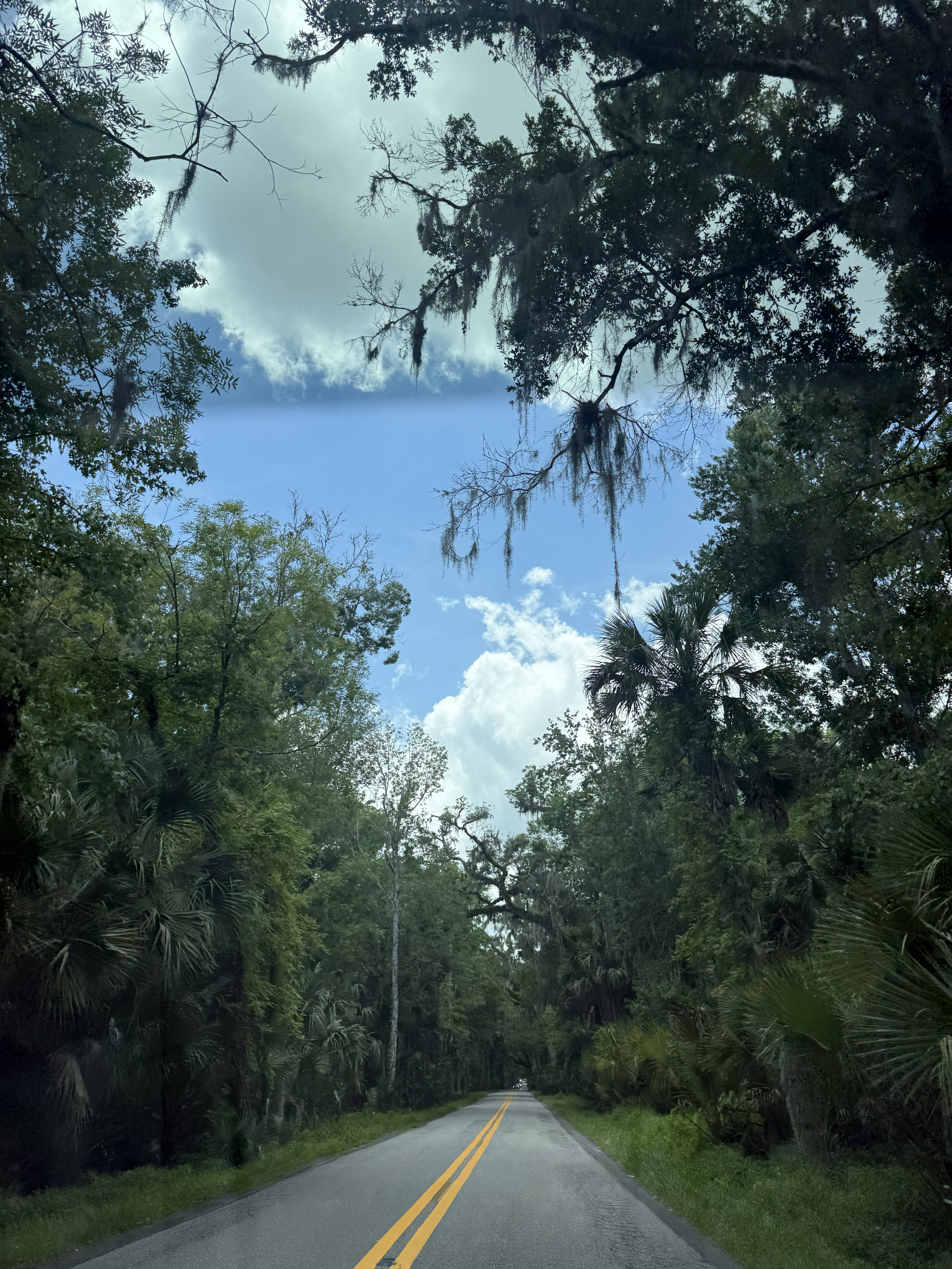 Ormond Beach, Florida 11