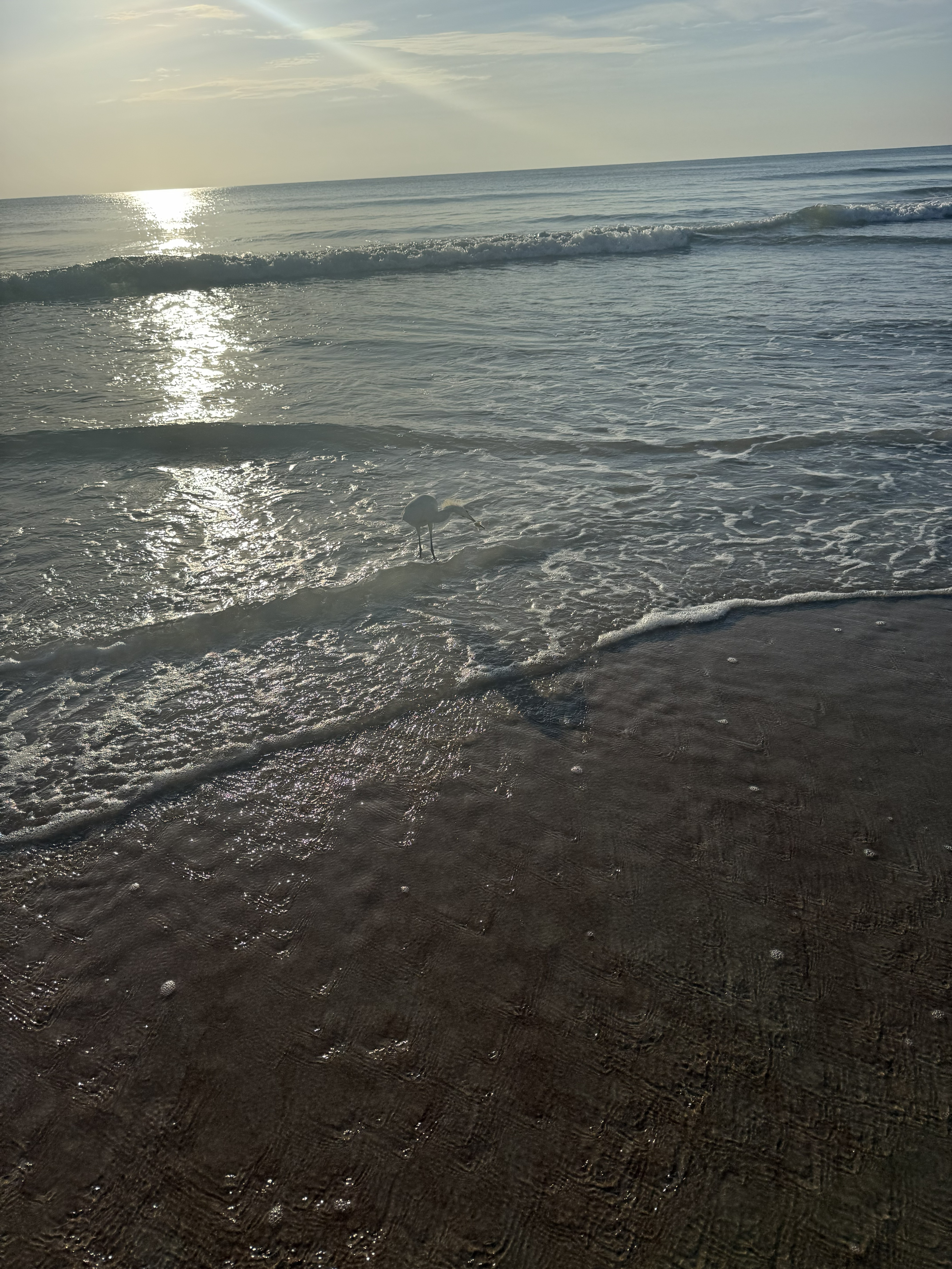 Ormond Beach, Florida 3