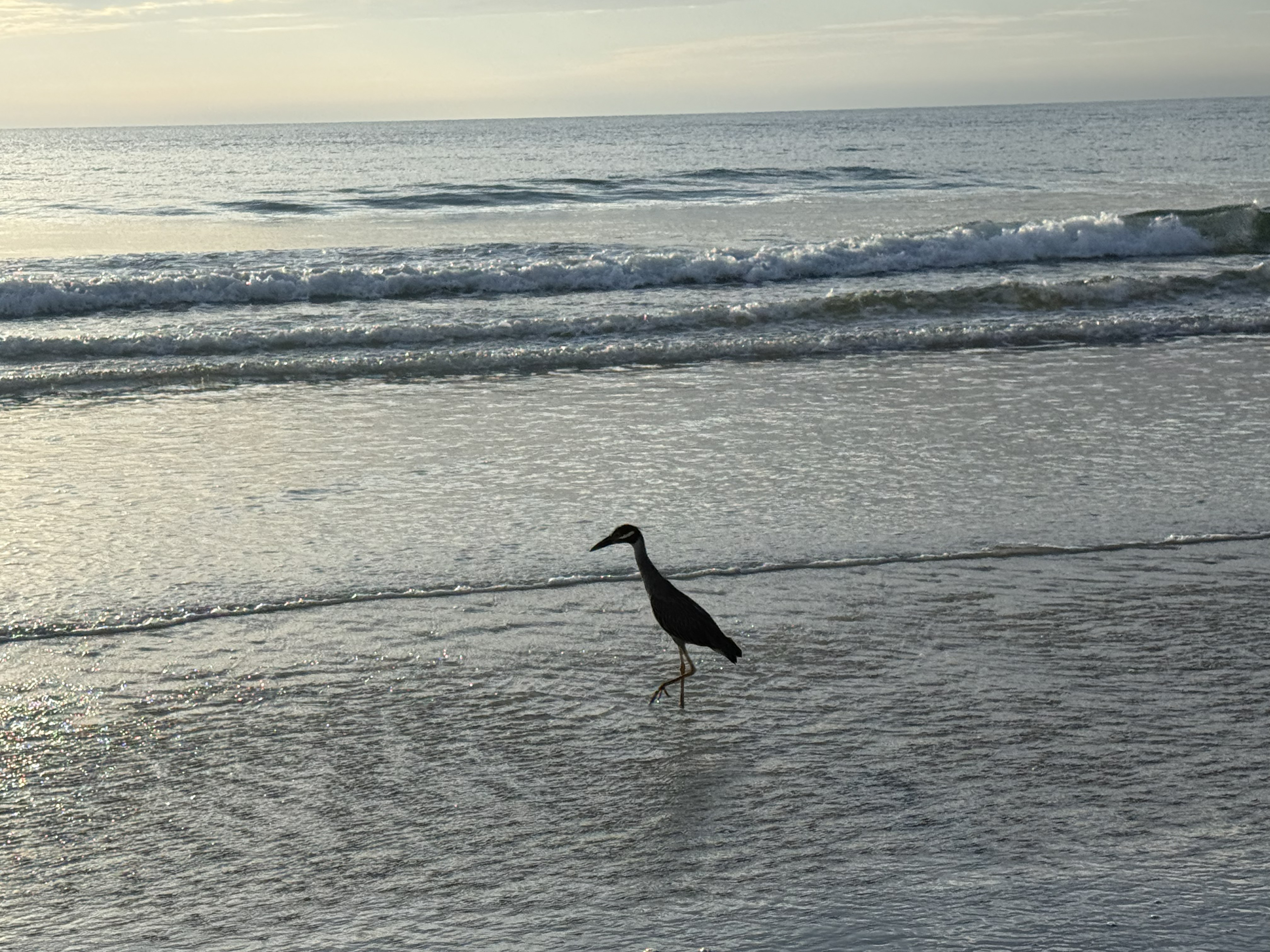 Ormond Beach, Florida 7