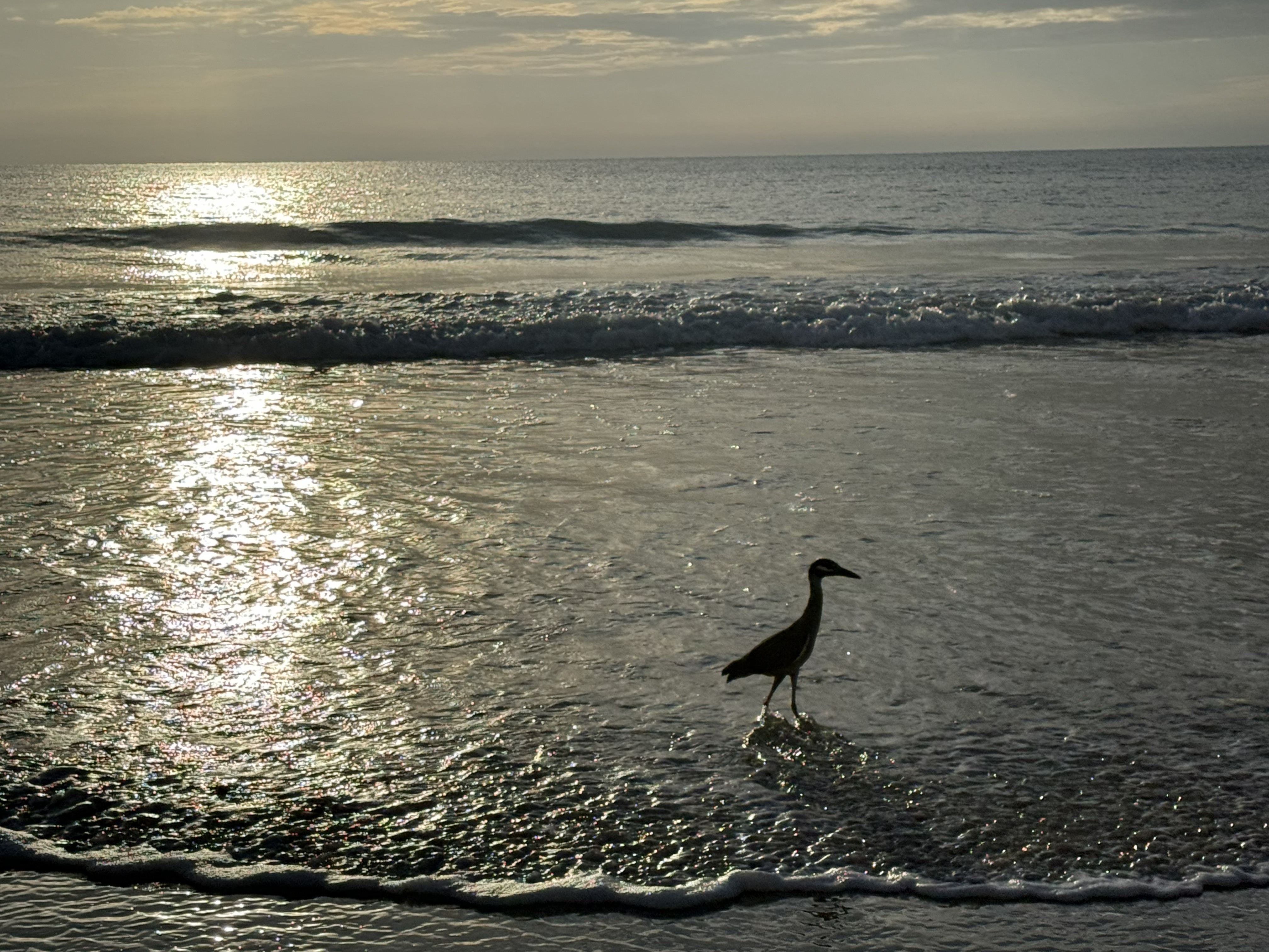 Ormond Beach, Florida 8