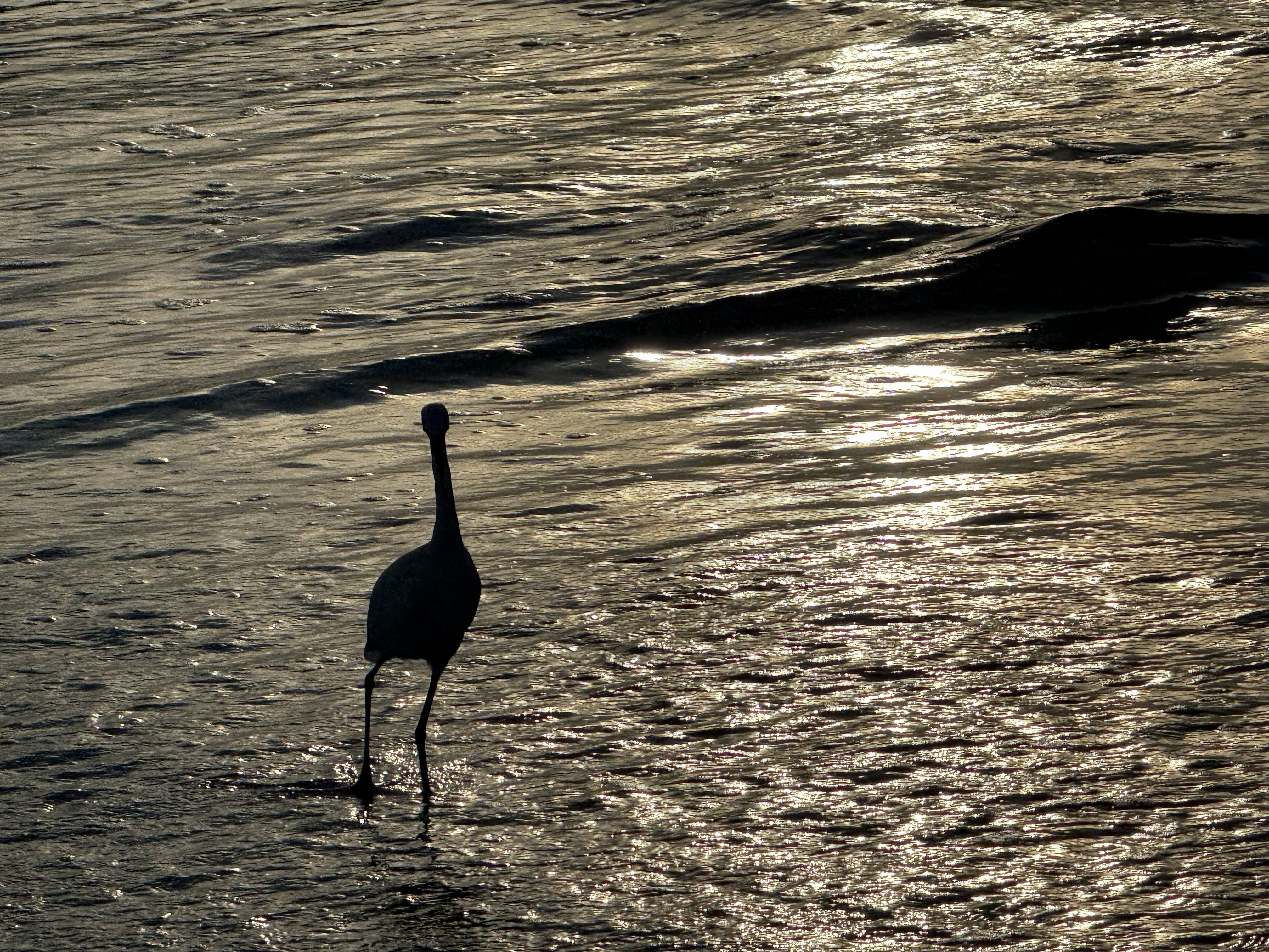 Ormond Beach, Florida 9