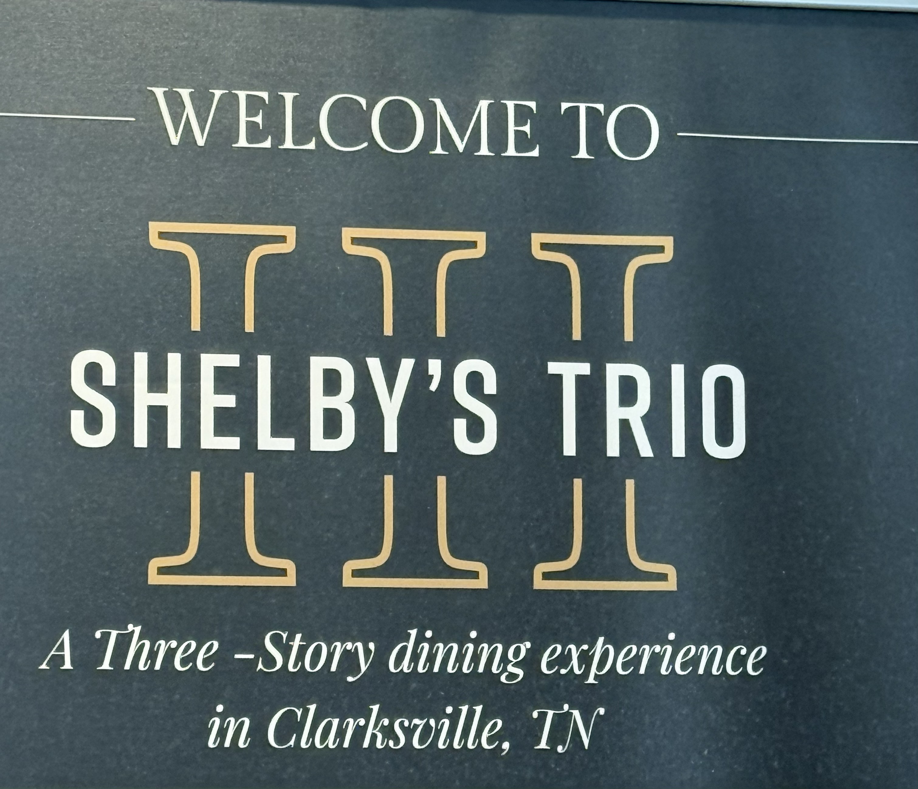 Shelby's Trio - Joe's Garage