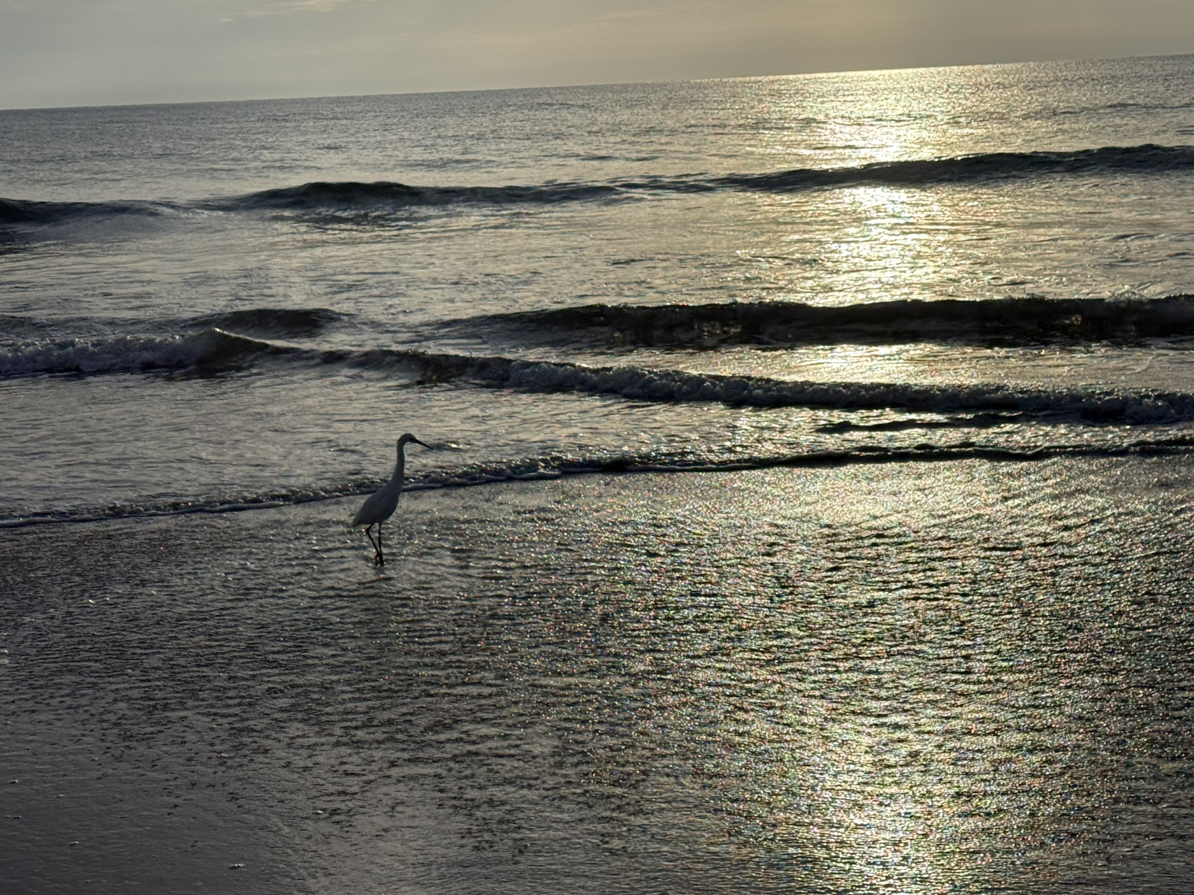 A Road Trip From Mountains to Coast: Wandering, Sunshine, and Simple Joys
